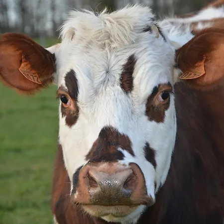 La Grange De La Vallee *